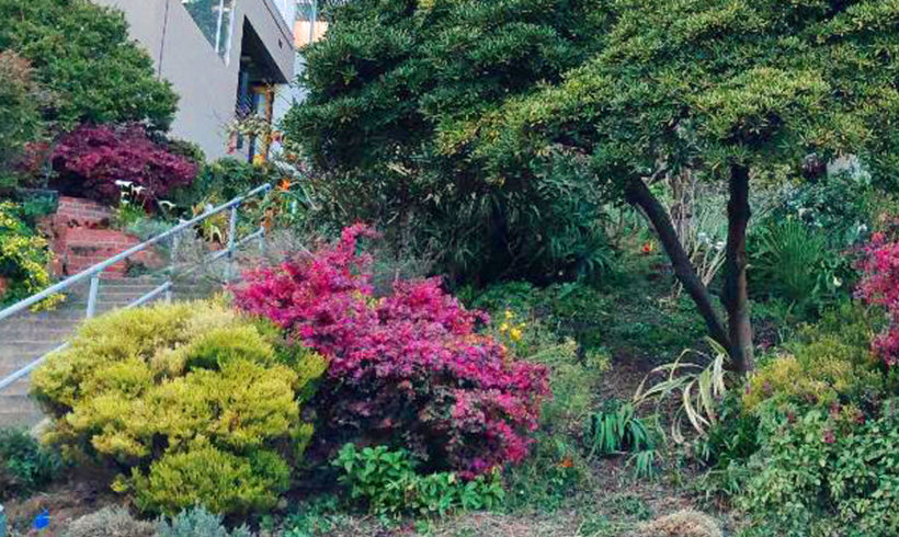 2nd Street Garden