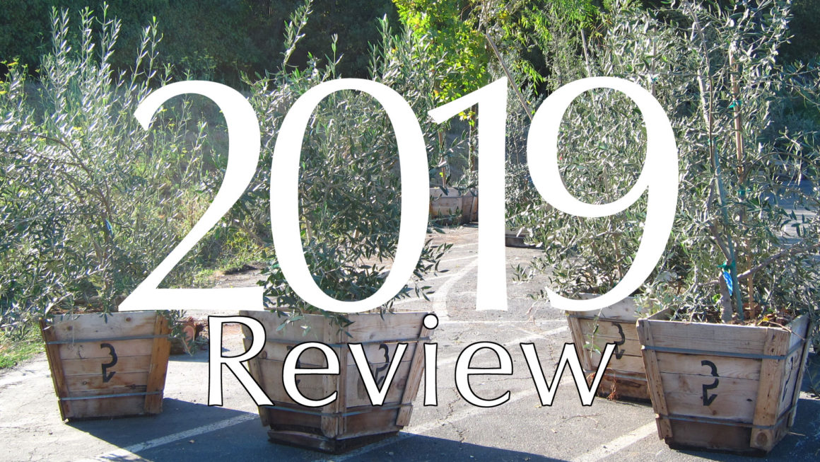 2019 in Review