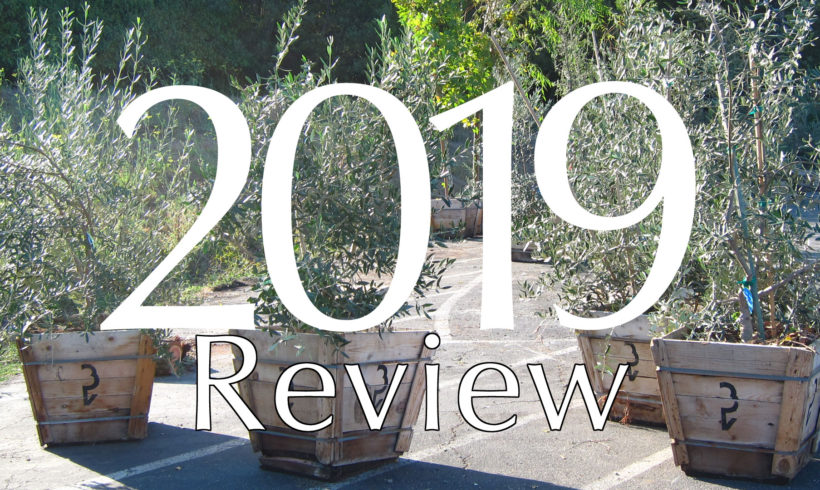 2019 in Review