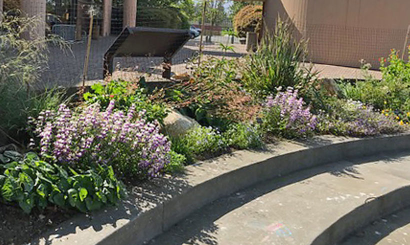 Native Garden at the Bay Model