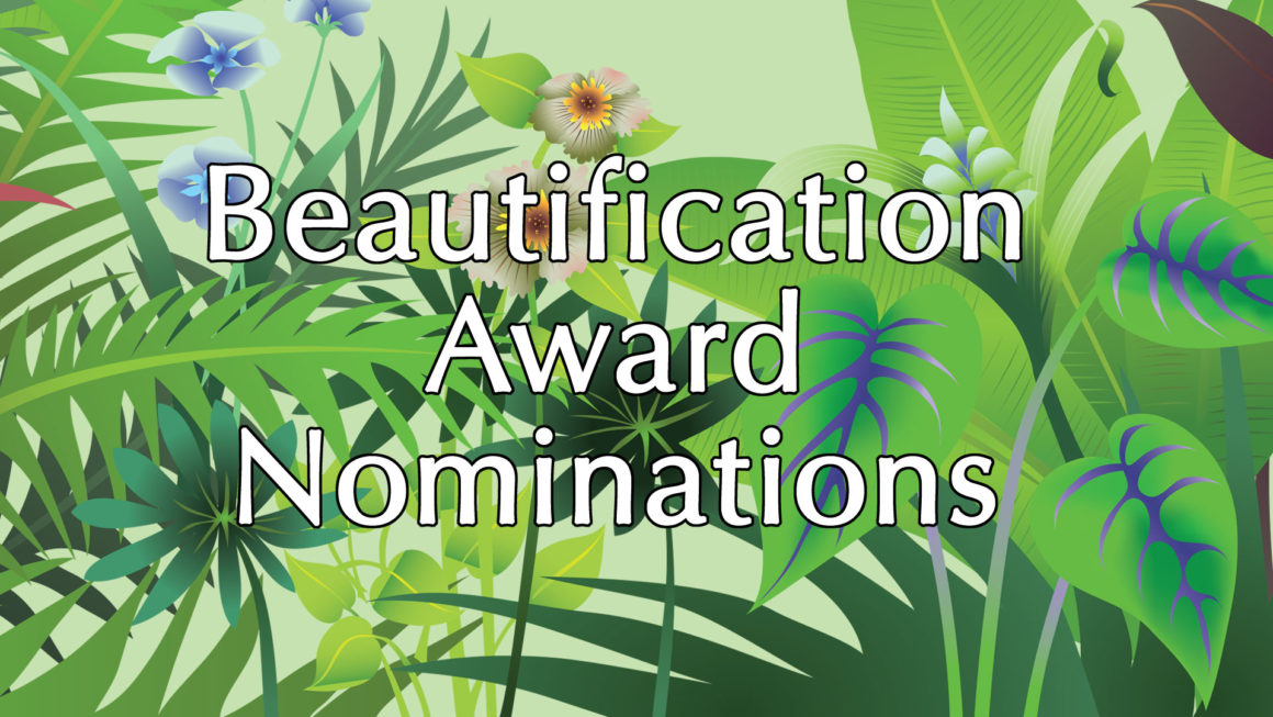 Award Nominations Needed