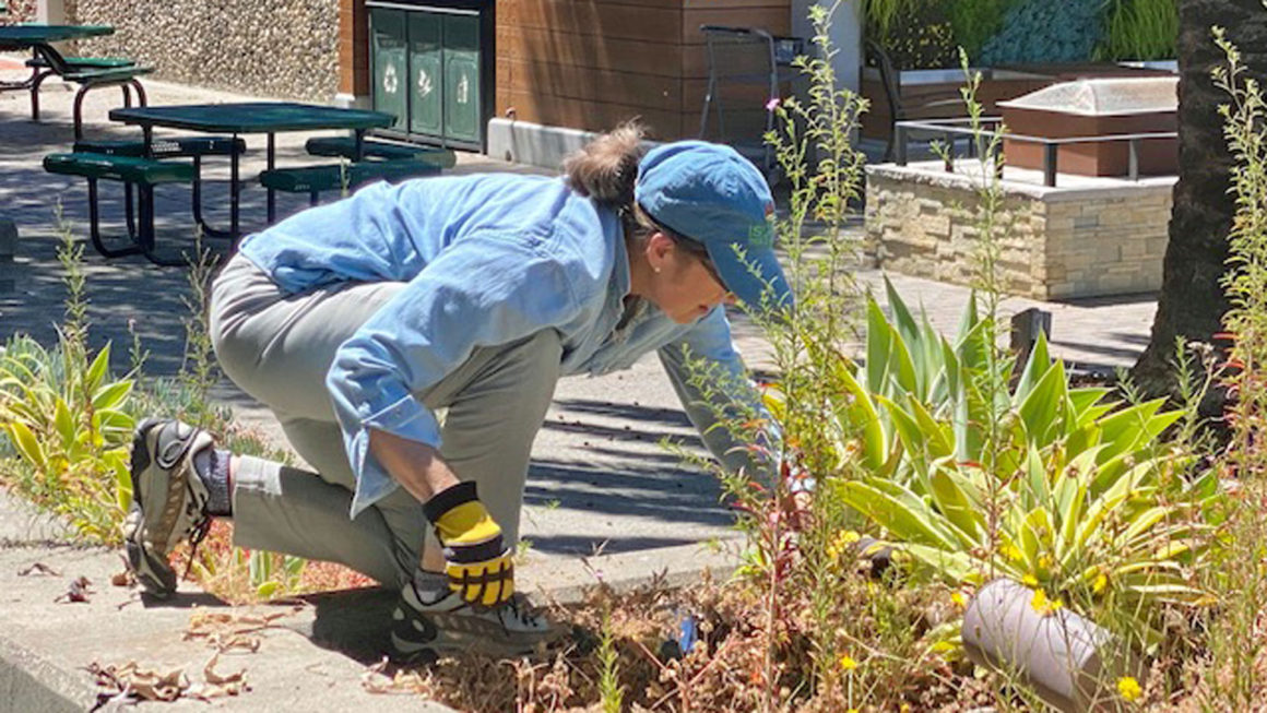 USPS thanks Green Thumbs!