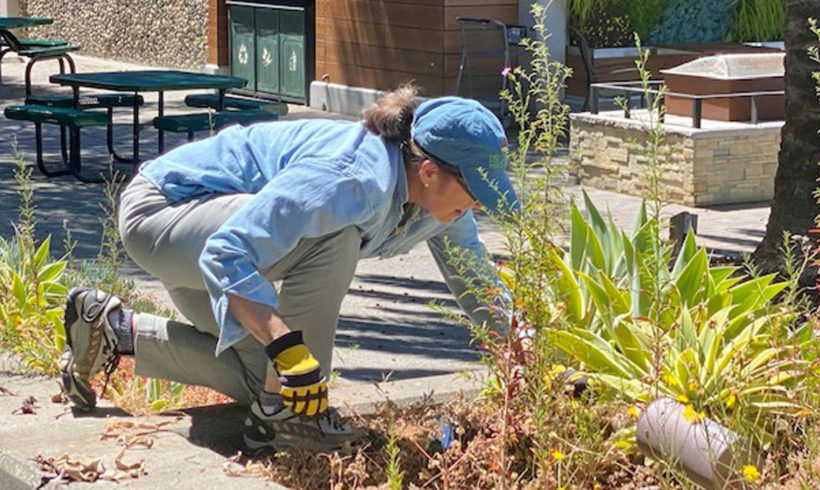 USPS thanks Green Thumbs!