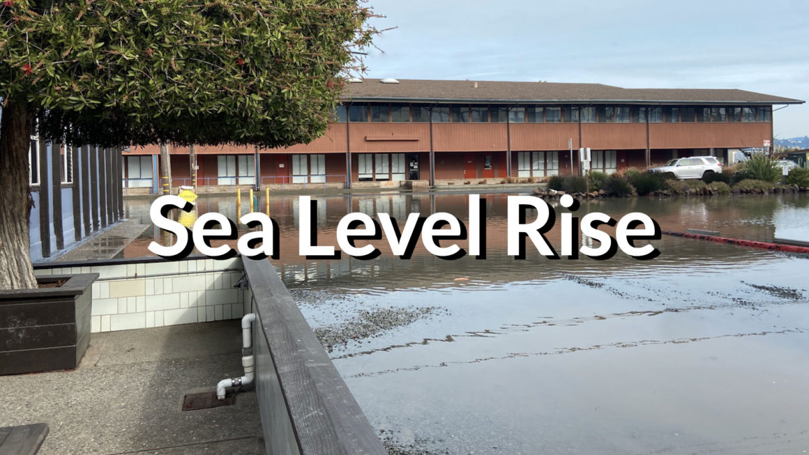 Sea Level Rise Survey