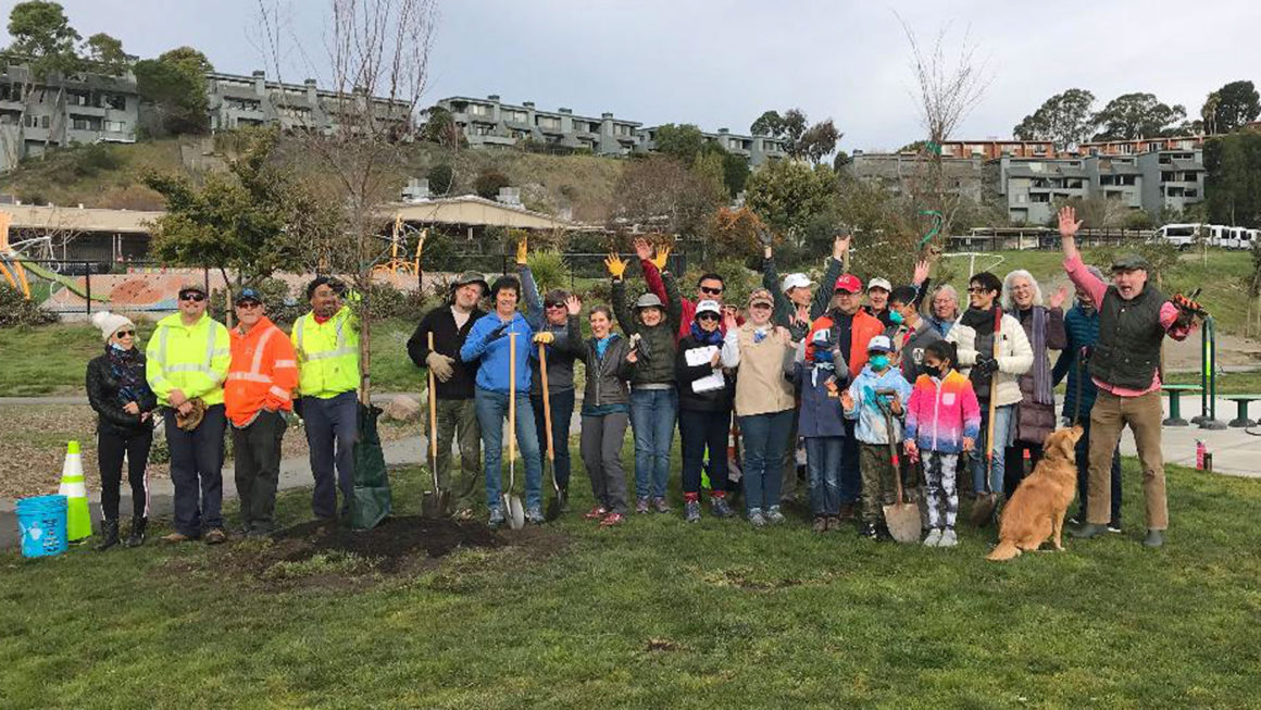 Volunteers planted over 30 trees at MLK Park