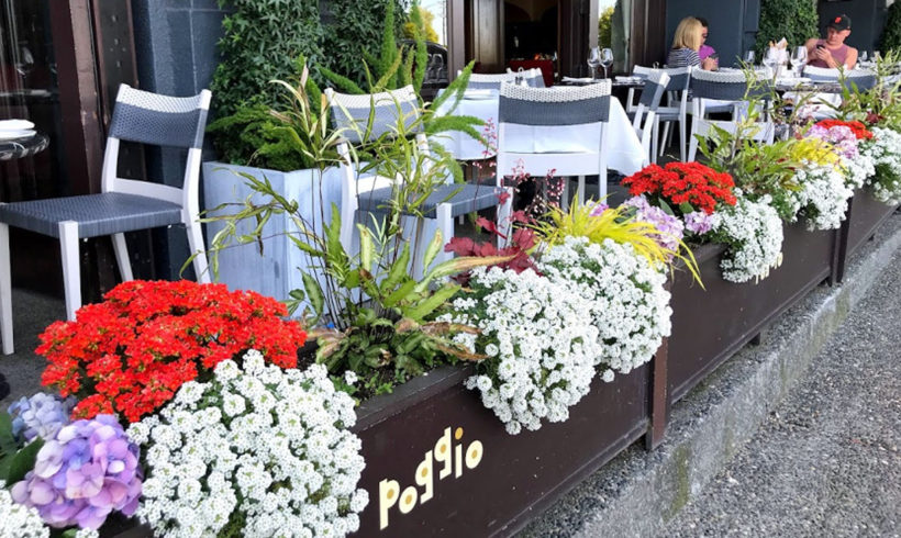 Poggio
