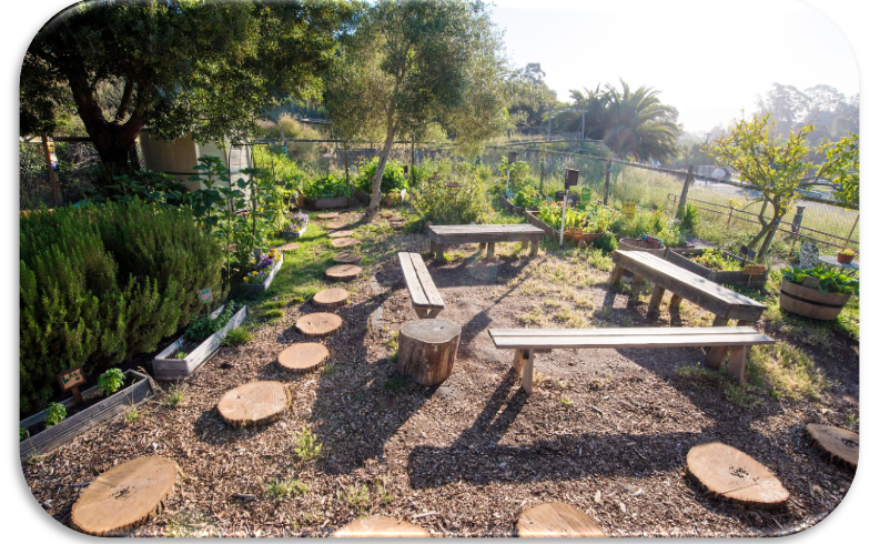 MLK Academy’s School Gardens