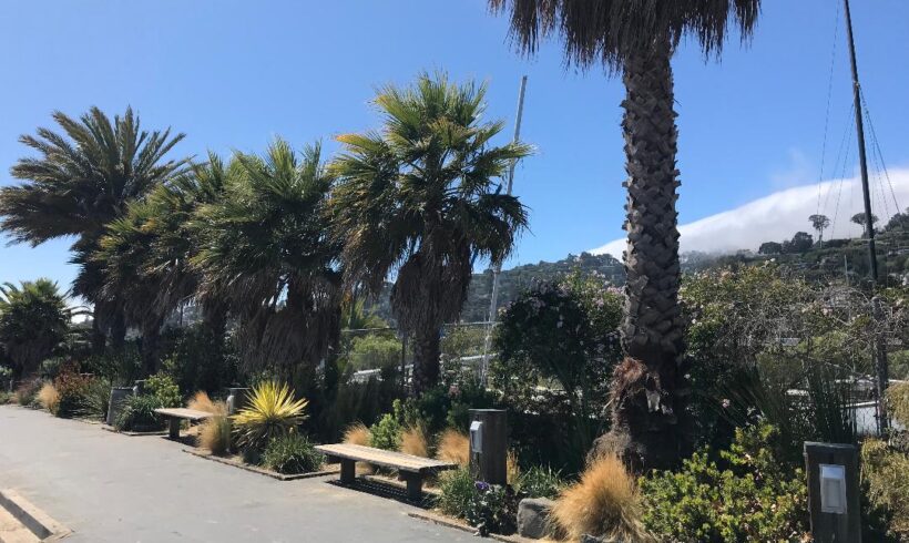 Schoonmaker Point Marina
