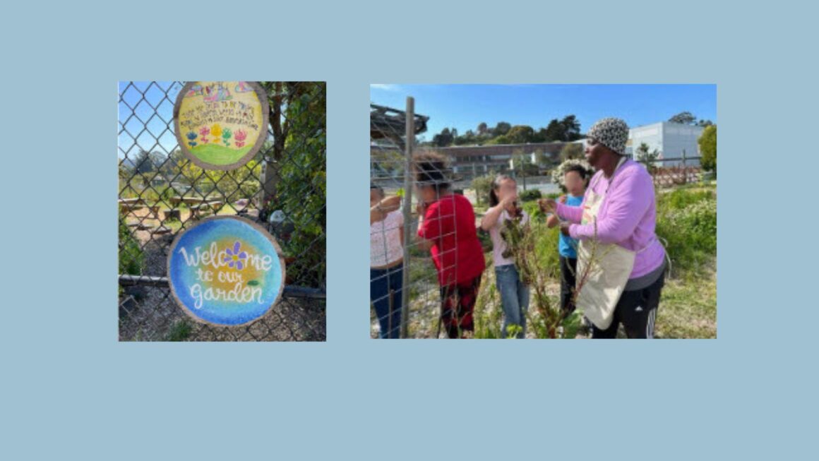 A Little Slice of Paradise for Sausalito Dr. MLK Academy students and Volunteers