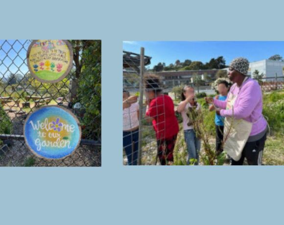 A Little Slice of Paradise for Sausalito Dr. MLK Academy students and Volunteers