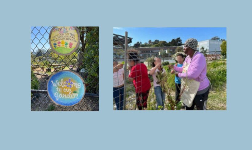 A Little Slice of Paradise for Sausalito Dr. MLK Academy students and Volunteers